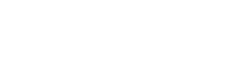 Darcy Leotards